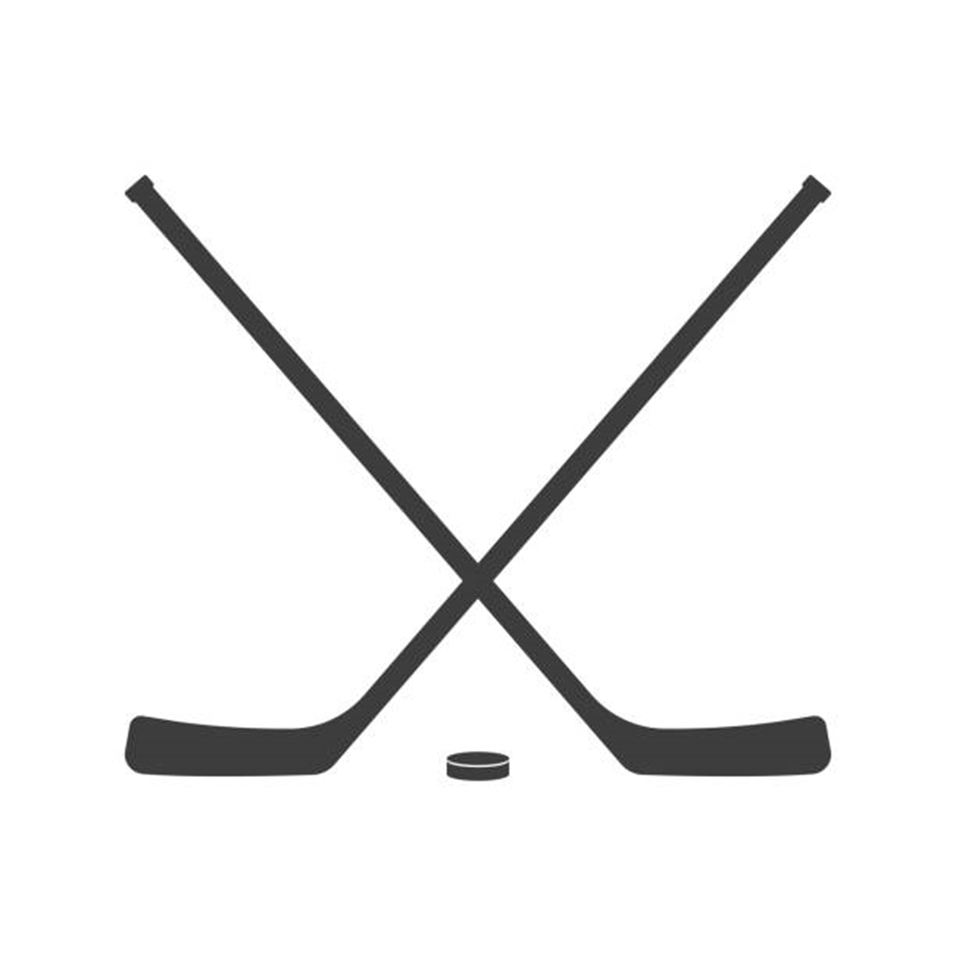 Dallas Stars-HasTech